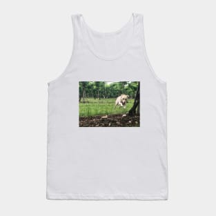 Doggy through the grapevine. Tank Top